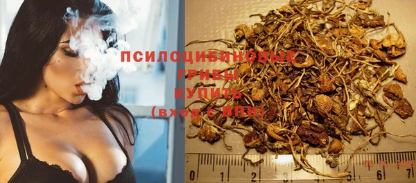2c-b Абинск