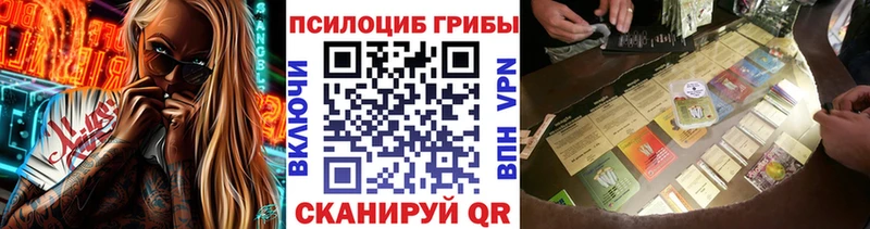 гидра сайт  Чулым  Галлюциногенные грибы Psilocybe 